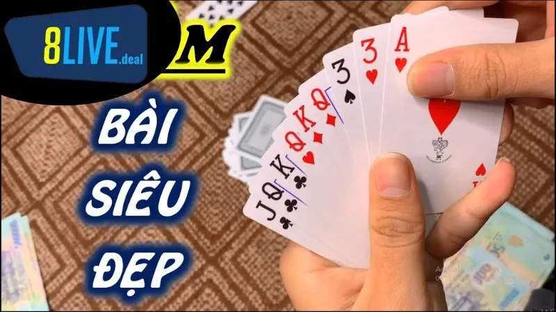 Những Kỹ Thuật Cơ Bản Trong Cách Chia Bài Bịp Phỏm