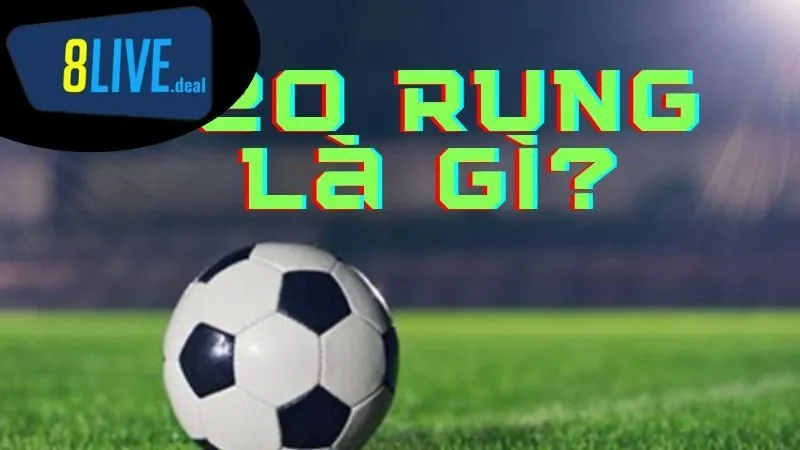 Những sai lầm khi cá cược kèo rung bóng đá