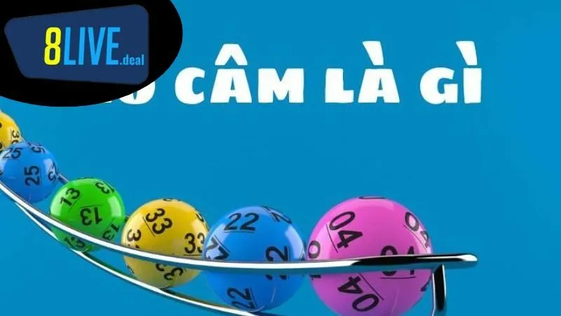 Khái Niệm Về Lô Câm Đầu